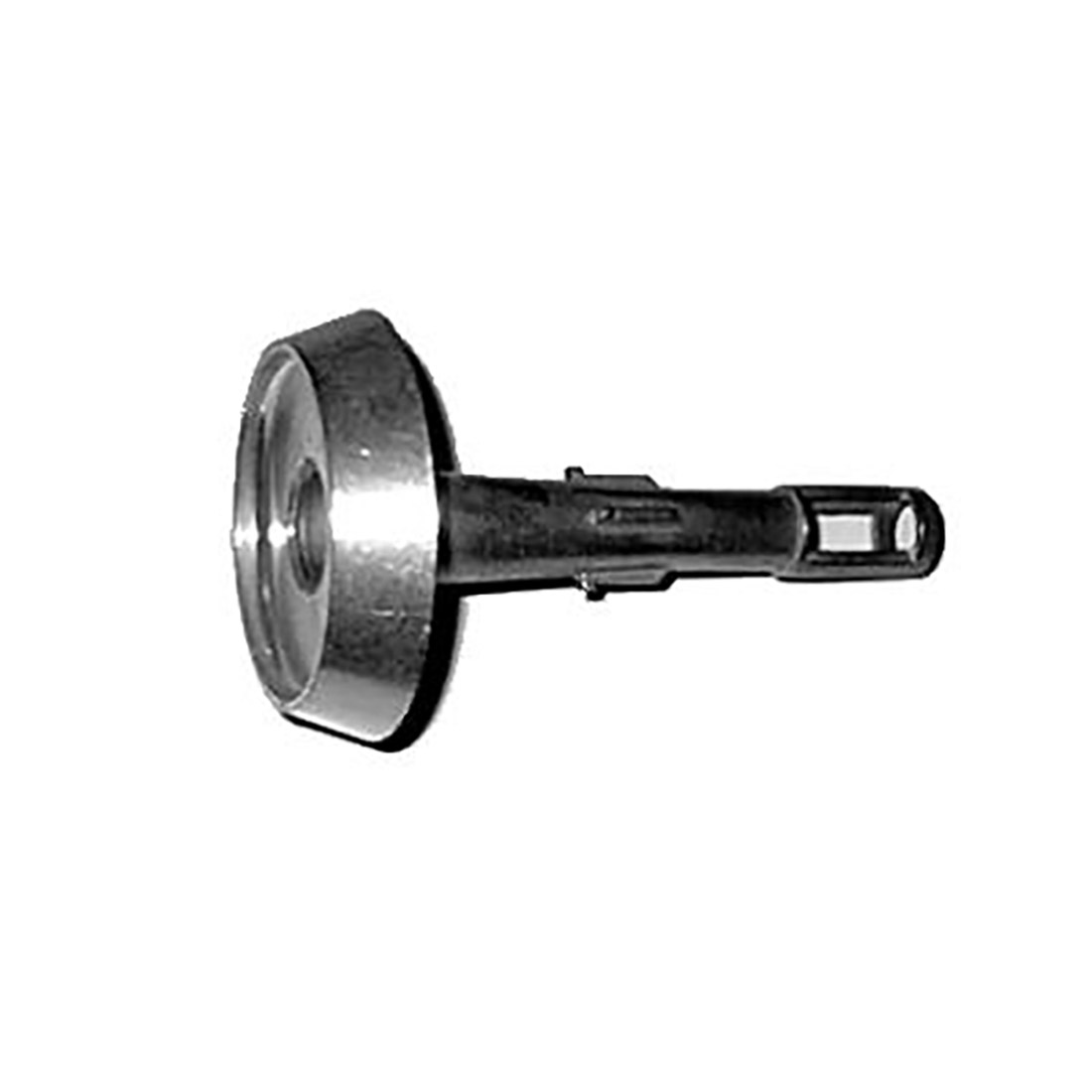 B0212.jpg BRUC. ALL. TIPO V. ARISTON SR. - B0212 - immagine 1