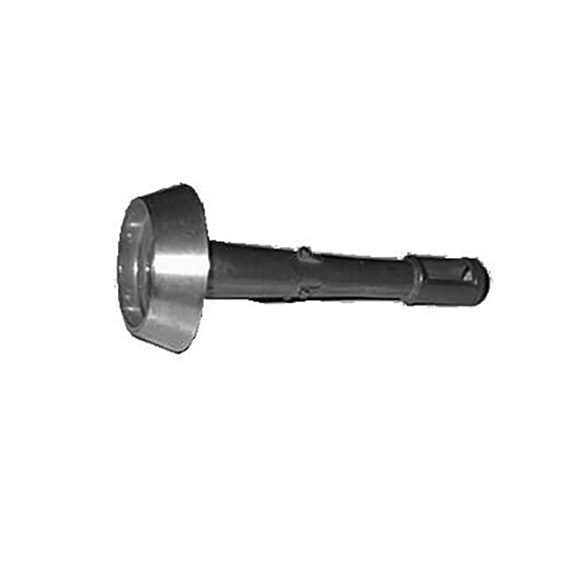 B0213.jpg BRUC. ALL. TIPO V. ARISTON AX. - B0213 - immagine 1