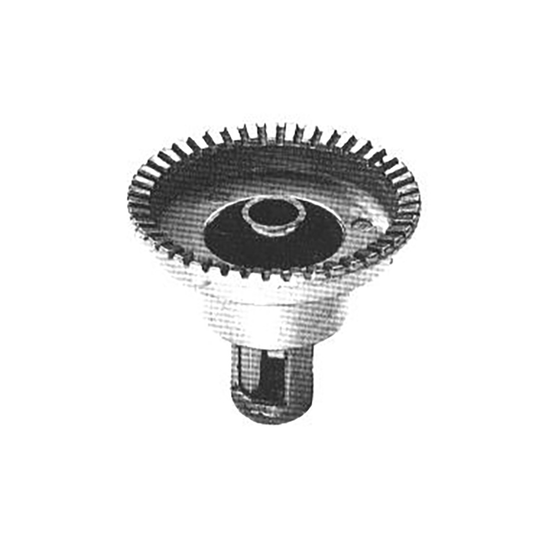 B0702.jpg BRUC. ALL. TIPO EBOS UR. - B0702 - immagine 1