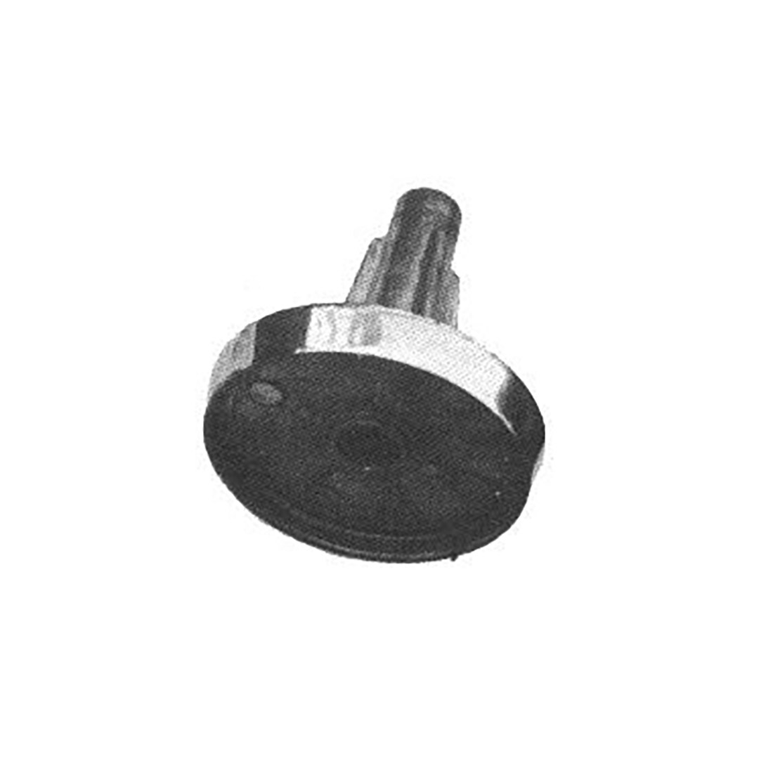 B0807.jpg BRUC. ALL. TIPO ELBA RAP - B0807 - immagine 1