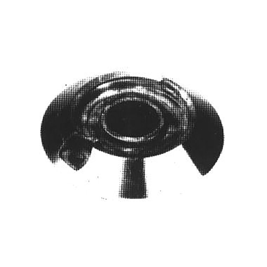 B0810.jpg BRUC. ALL. C/FORO TIPO ELBA UR. - B0810 - immagine 1