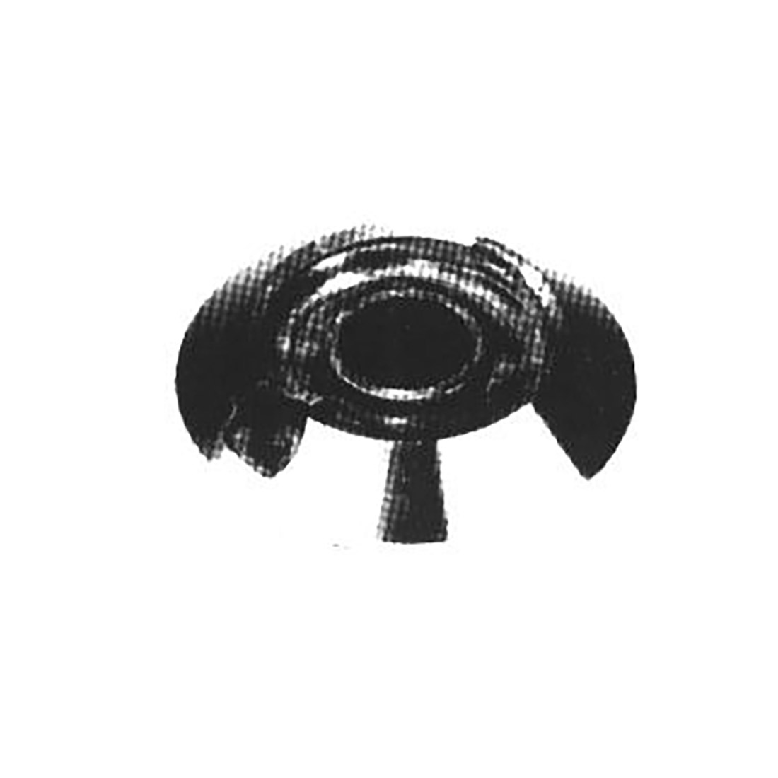 B0811.jpg BRUC. ALL. C/FORO TIPO ELBA RAP - B0811 - immagine 1