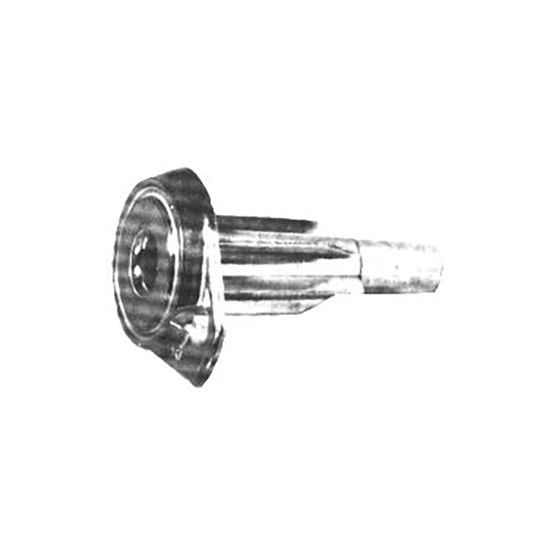 B4023.jpg BRUC. ALL. TIPO ONOFRI C/FORO SR. - B4023 - immagine 1