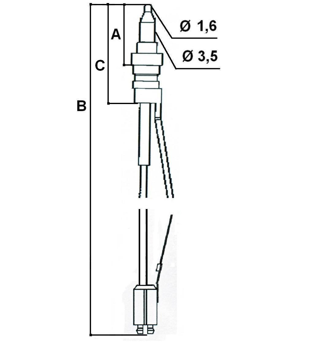 H4779.jpg VEDI H4780 - TERMOCOPIA rex - H4779 - immagine 1
