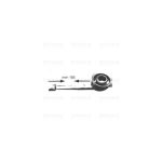 B4007 - BRUC. ALL. TIPO ONOFRI CORONA