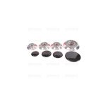 B53300 - KIT BRUCIATORE E PIATTELLI TIPO SMEG SERIE NUOVA  1 RAP - 2 SR - 1AX - immagine 3