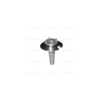 B5430 - BRUCIATORE TIPO SOVRANA AX. CON FORO