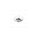 B5508 - BRUC. ALL. TIPO STAR S/FORO SR.