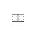 G0103 - GRIGLIA GHISA X AREILOS 2F. 435x253