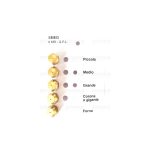 HG26 - INIETTORI CONF. SMEG 8 MB GPL