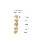 HG27 - INIETTORI CONF. NARDI TN 8 MB GPL