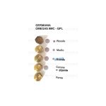 HG35 - INIETTORI CONF. GERMANIA OMEGAS 9 MC GPL