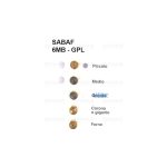 HG40 - INIETTORI CONF. SABAF 6 MB GPL