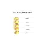 HM12ALTO - INIETTORI CONF. IGNIS OLMAR 7 MA MET