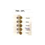 HM13 - INIETTORI CONF. GAS FIRE 7 MA MET