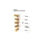 HM28 - INIETTORI CONF. FARGAS 8 MB MET