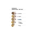 HM35 - INIETTORI CONF. GERMANIA OMEGAS 9 MC MET