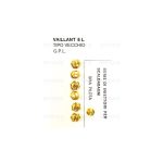 HS110GPL - INIETTORI X SCALDABAGNO VAILLANT 5 L TV