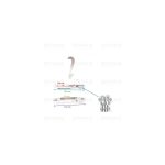 KCF5392 - CERNIERA PORTA CUCINA TIPO SMEG DX - SX - immagine 2