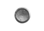 L0011 - SP. OTT. FOR. TIPO AEQUATOR UR.