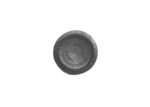 L0013 - SP. OTT. FOR. TIPO AEQUATOR SR