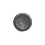 L0013 - SP. OTT. FOR. TIPO AEQUATOR SR