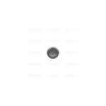 L1903 - SP. OTT. FOR. TIPO GERMANIA AX