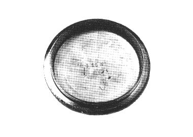 L3210 TERMOSTATO GAS TIPO LOFRA VAL. - T3210 - immagine 1