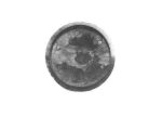 L4417 - SP.OTT.FOR. TIPO REX BECCHI UR.