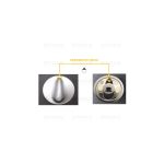 M4731 - MANOPOLA TIPO SAMET COL. INOX DIA.6 G=0 - immagine 2