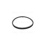 N502 - GUARNIZIONE COPERCHIO ADATTABILE BIMBY TM31 DIAMETRO Cm.18,5
