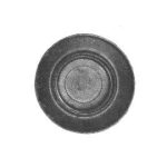 S0002 - SP.OTT.STAMP.TIPO AEQUATOR
