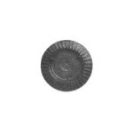 S0005 - SP.OTT.STAMP.TIPO AEQUATOR