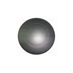 S0245 - PIATTELLO TIPO ARISTON RAP. RAF - immagine 3