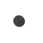 S0307 - SP.OTT.STAMPATO TIPO BECCHI AX.