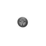 S1005 - SP.OTT.STAMP TIPO FARGAS AX.