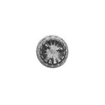 S6109 - SPART. OTT. STAMPATO TIPO TRIPLEX